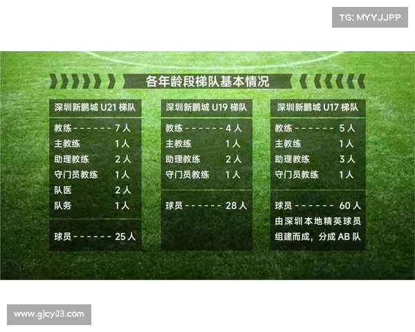 英超梯队系统解析及其对俱乐部青训和人才培养的深远影响 英超梯队系统解析及其对俱乐部青训和人才培养的深远影响